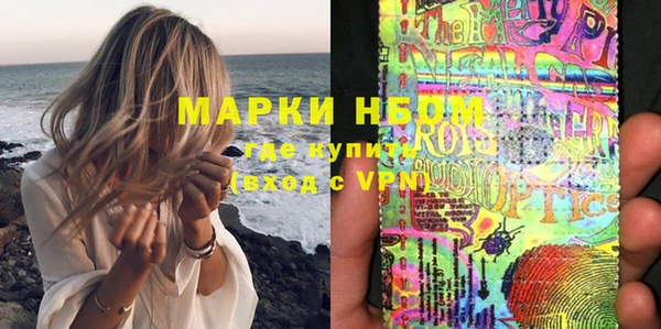 хмурый Алексин