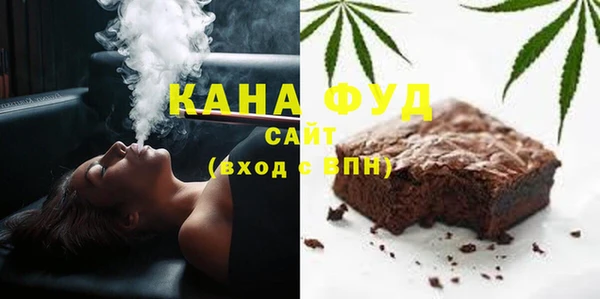хмурый Алексин