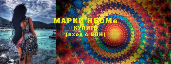 хмурый Алексин
