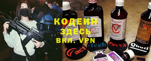 хмурый Алексин